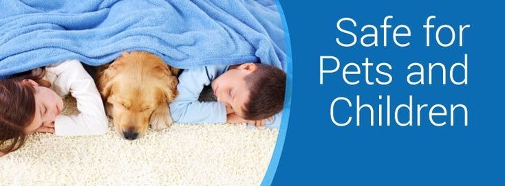carpet cleaning is safe for pets and kids